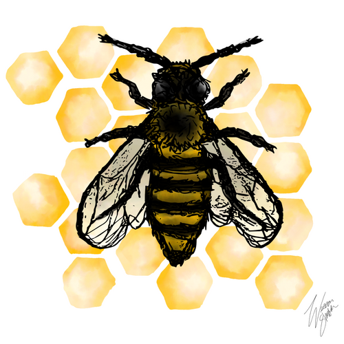 Honey Bee Poster