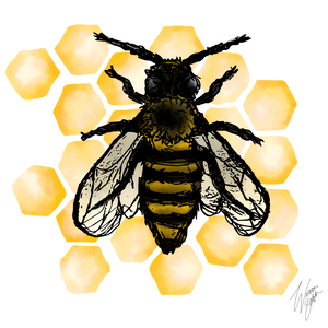 Honey Bee Poster