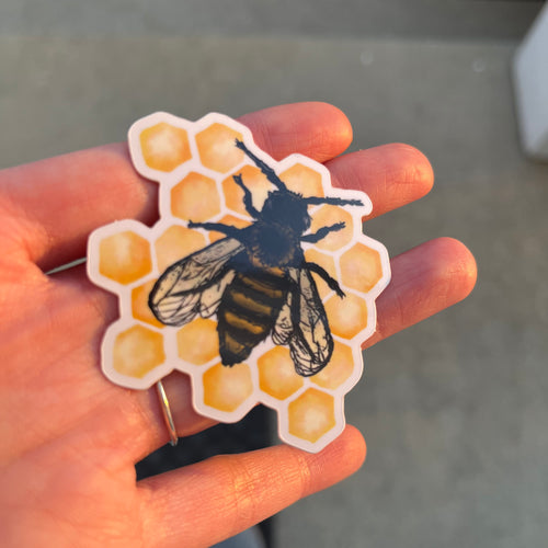 Honey Bee Sticker