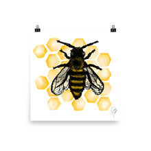 Load image into Gallery viewer, Honey Bee Poster